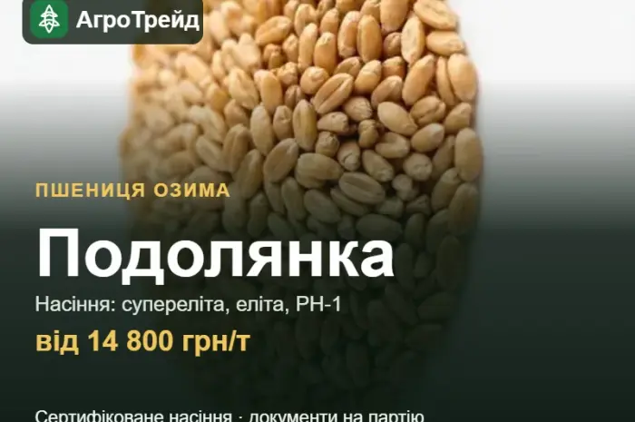 Насіння пшениці Подолянка, від 14 800 грн/т- фото № 1