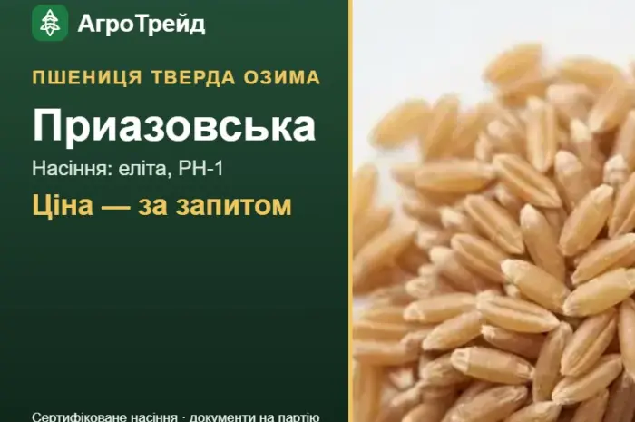 Насіння: пшениця тверда озима Приазовська- фото № 1
