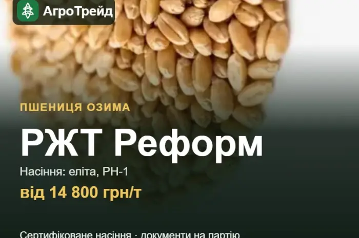 Пшениця РЖТ Реформ для посіву, від 14 800 грн/т- фото № 1