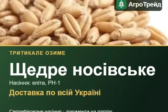 Тритикале Щедре носівське для посіву- фото № 1