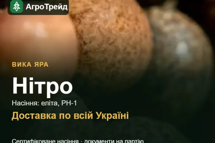Купити вику Нітро на посів- фото № 1