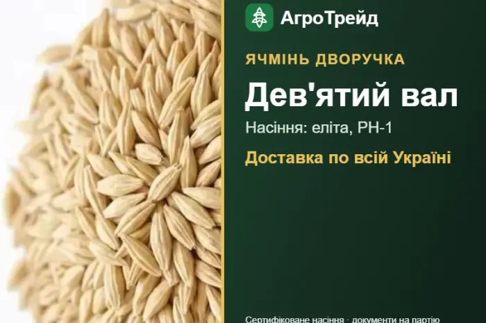 Купити ячмінь Дев'ятий вал на посів- фото № 1