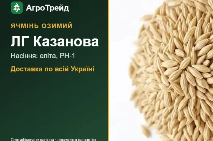 ЛГ Казанова — озимий ячмінь, насіння- фото № 1