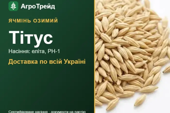 Ячмінь озимий Тітус — насіння- фото № 1