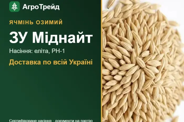 Насіння ячменю ЗУ Міднайт, від 14 800 грн/т- фото № 1