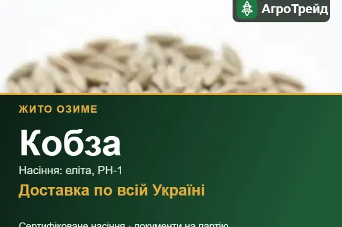 Кобза — озиме жито, насіння- фото № 1
