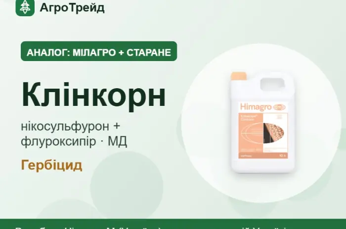 Мілагро + Старане аналог — Клінкорн- фото № 1