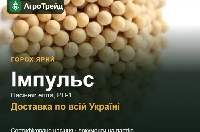 Імпульс — ярий горох, насіння, від 29 700 грн/т- фото № 1