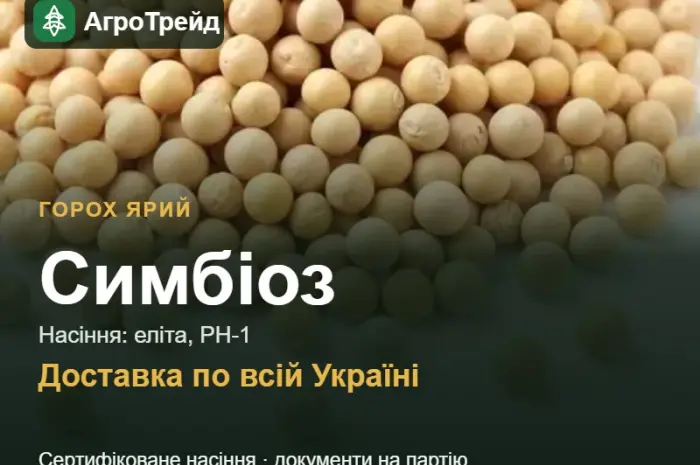 Насіння: горох ярий Симбіоз- фото № 1