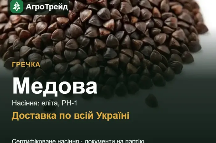 Гречка Медова для посіву- фото № 1