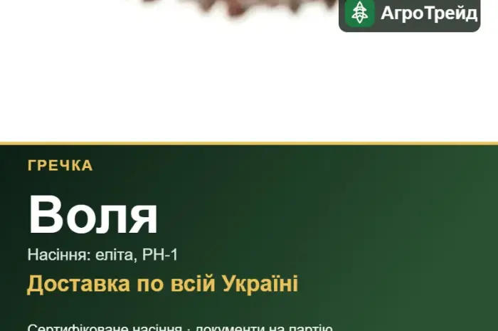Посівна гречка Воля- фото № 1