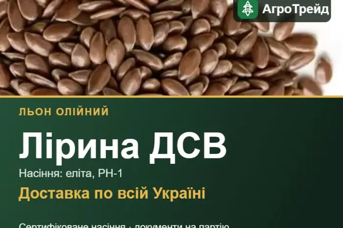 Насіння: льон олійний Лірина ДСВ- фото № 1