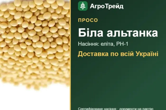 Біла альтанка — просо, насіння, від 34 400 грн/т- фото № 1