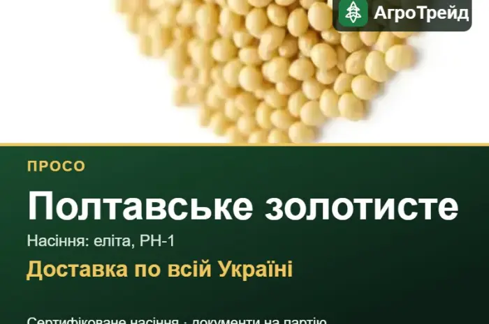 Полтавське золотисте — просо, насіння- фото № 1