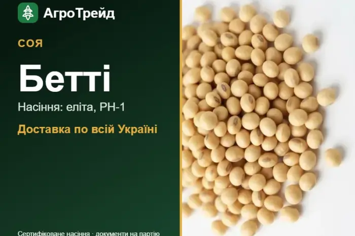 Насіння сої Бетті- фото № 1