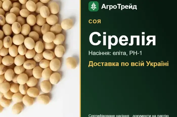 Насіння сої Сірелія- фото № 1