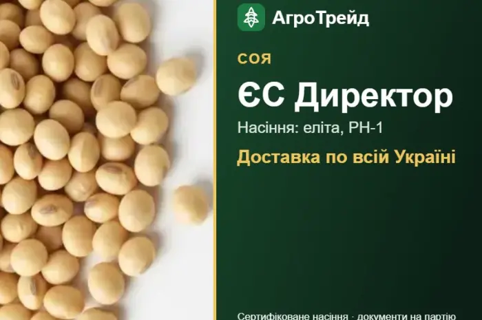ЄС Директор — соя, насіння- фото № 1
