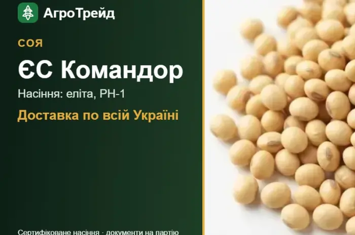 Соя ЄС Командор — насіння- фото № 1