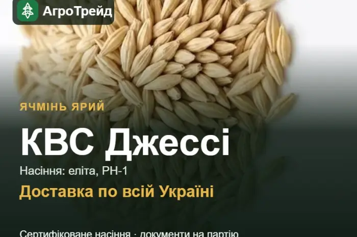 Насіння ярого ячменю КВС Джессі- фото № 1