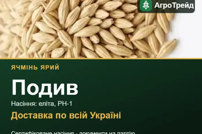 Купити ярий ячмінь Подив на посів- фото № 1