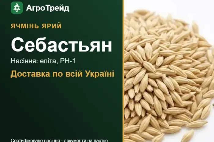Себастьян — ярий ячмінь, насіння, від 16 700 грн/т- фото № 1
