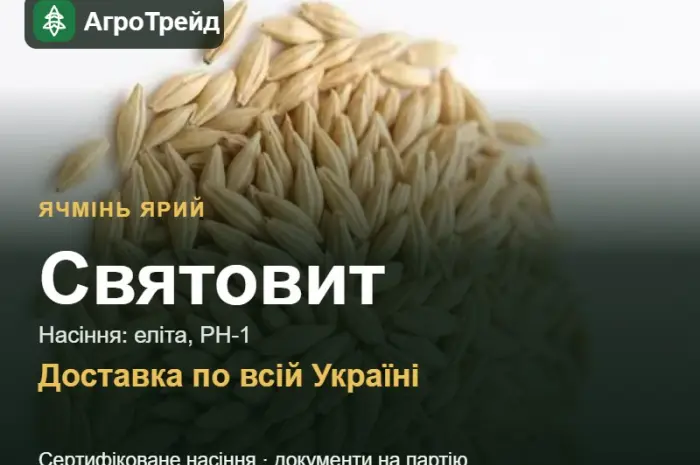 Насіння ярого ячменю Святовит- фото № 1
