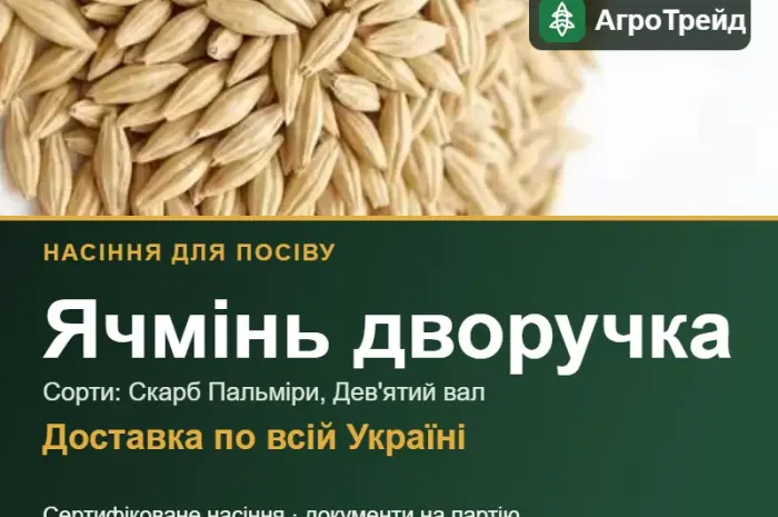Продам насіння ячменю дворучки- фото № 1