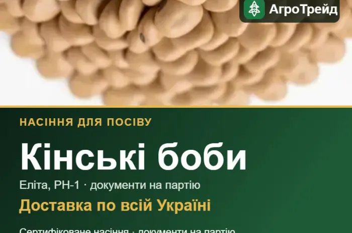 Продам насіння кінських бобів- фото № 1