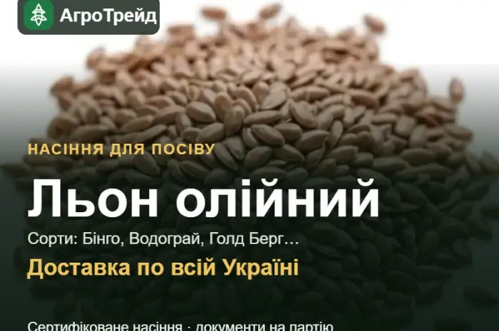 Продам насіння олійного льону- фото № 1