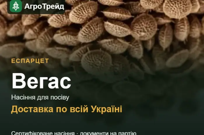 Еспарцет Вегас- фото № 1