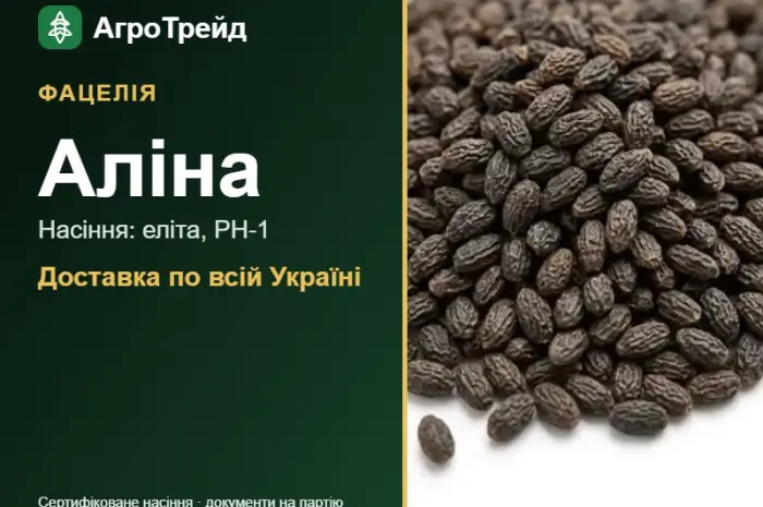 Фацелія Аліна- фото № 1