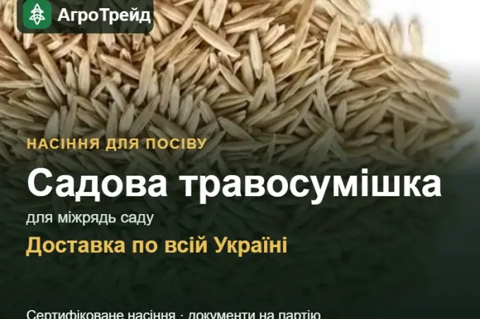 Продам: садова травосумішка для міжрядь саду- фото № 1