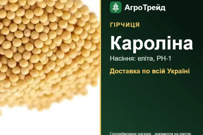Гірчиця Кароліна — насіння- фото № 1