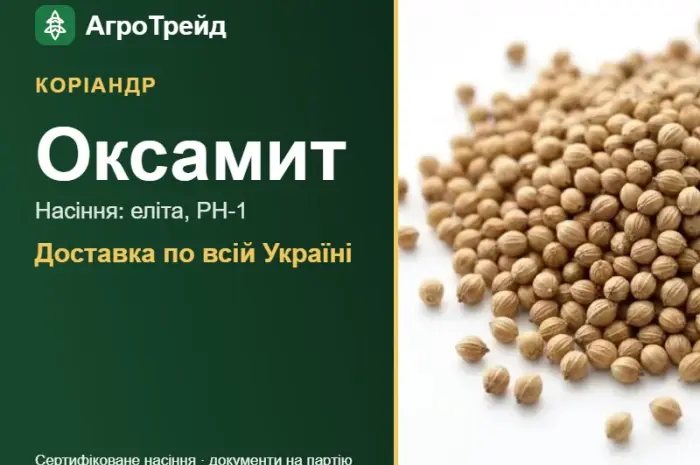 Оксамит — коріандр, насіння- фото № 1