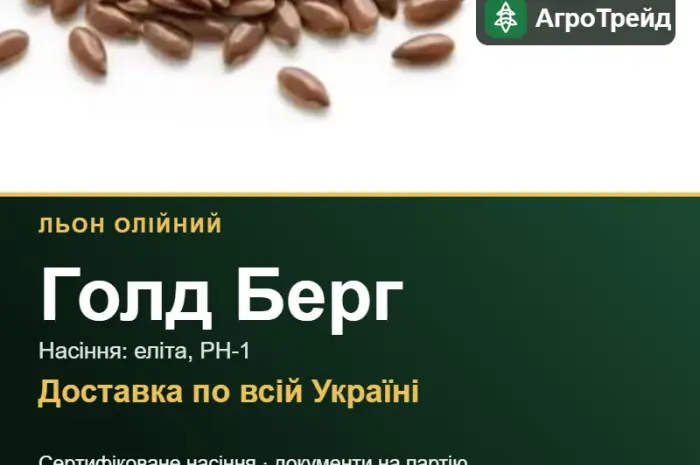 Купити насіння олійного льону Голд Берг- фото № 1