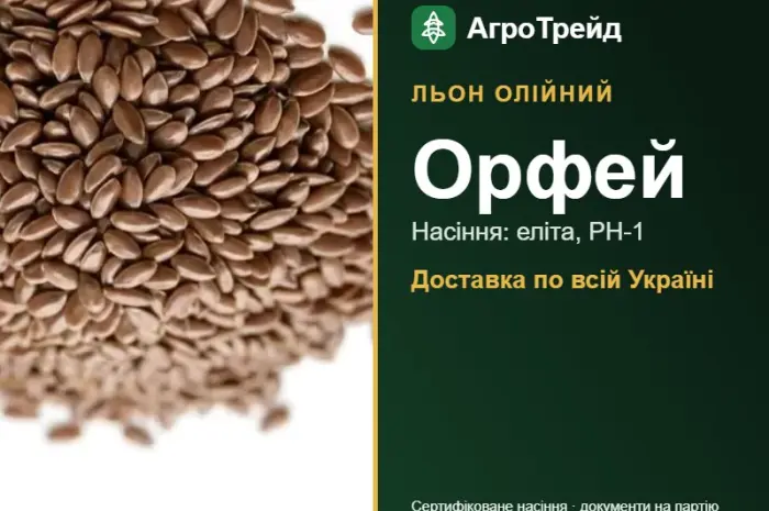 Орфей — льон олійний, насіння- фото № 1