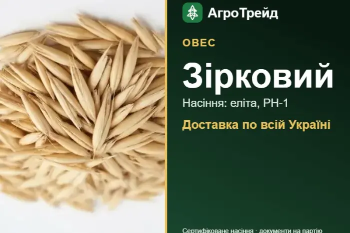 Насіння вівса Зірковий- фото № 1