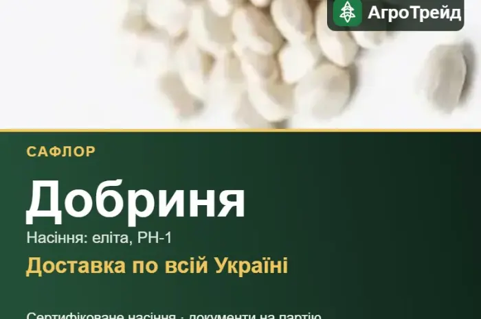 Купити насіння сафлору Добриня- фото № 1