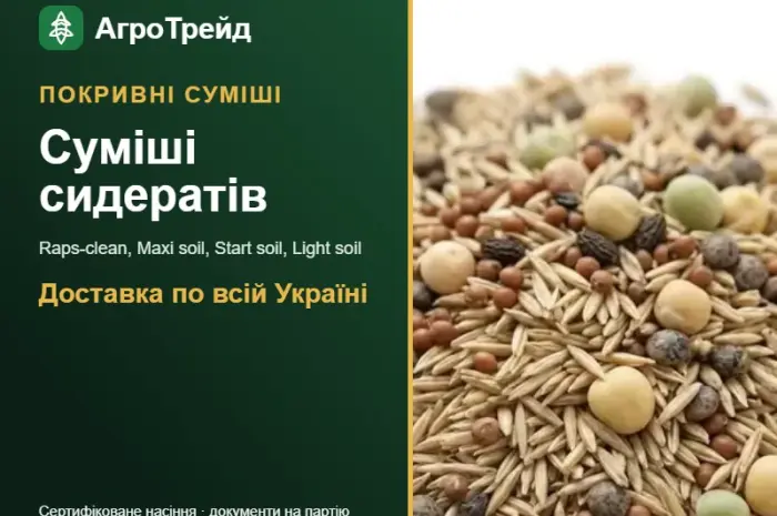 Покривні суміші сидератів — насіння- фото № 1