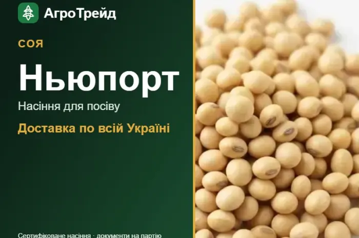 Насіння сої Ньюпорт- фото № 1