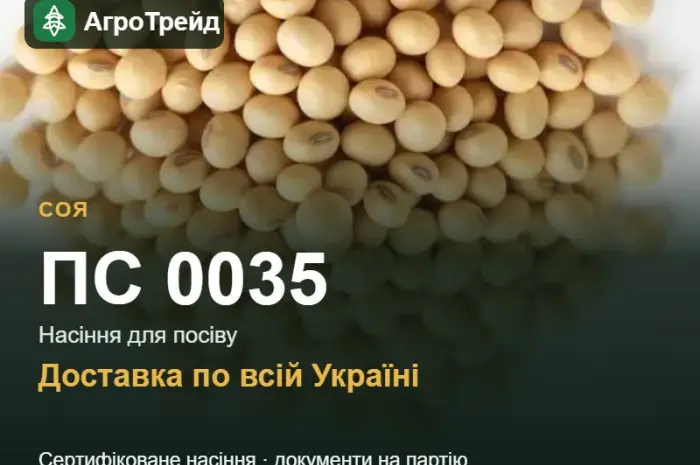 Насіння сої ПС 0035- фото № 1