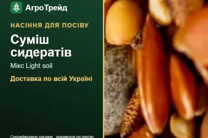 Суміш сидератів Мікс Light soil — насіння- фото № 1