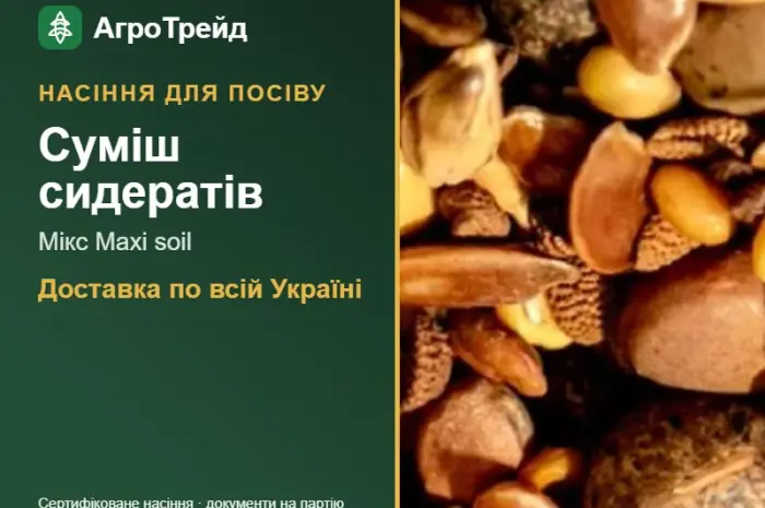 Продам: суміш сидератів Мікс Maxi soil- фото № 1