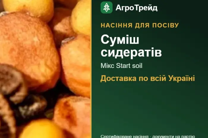 Суміш сидератів Мікс Start soil — насіння- фото № 1