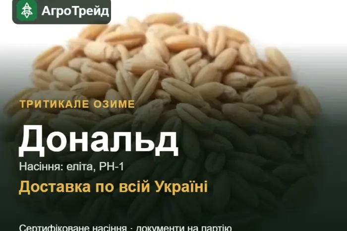 Тритикале озиме Дональд — насіння- фото № 1