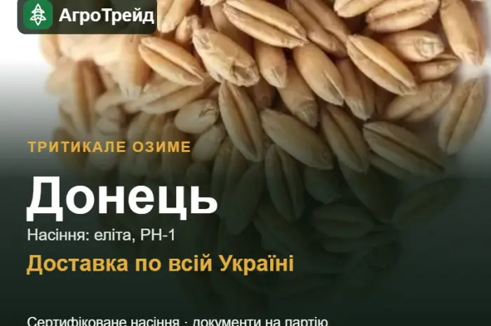Тритикале озиме Донець — насіння- фото № 1