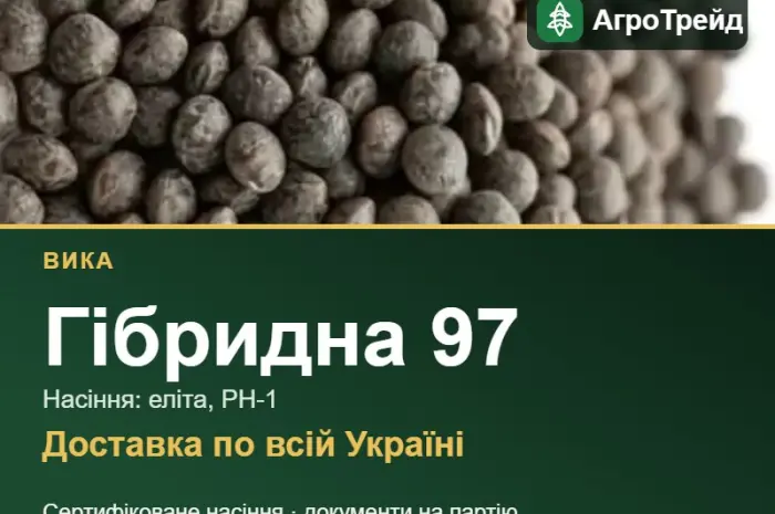 Насіння вики Гібридна 97- фото № 1