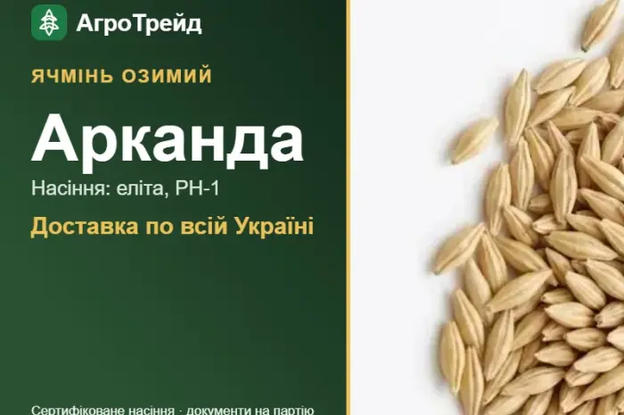 Насіння озимого ячменю Арканда- фото № 1