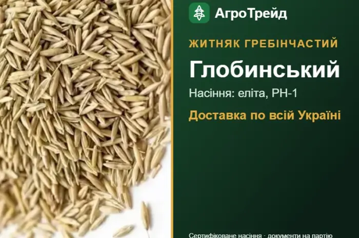 Глобинський — житняк гребінчастий, насіння- фото № 1