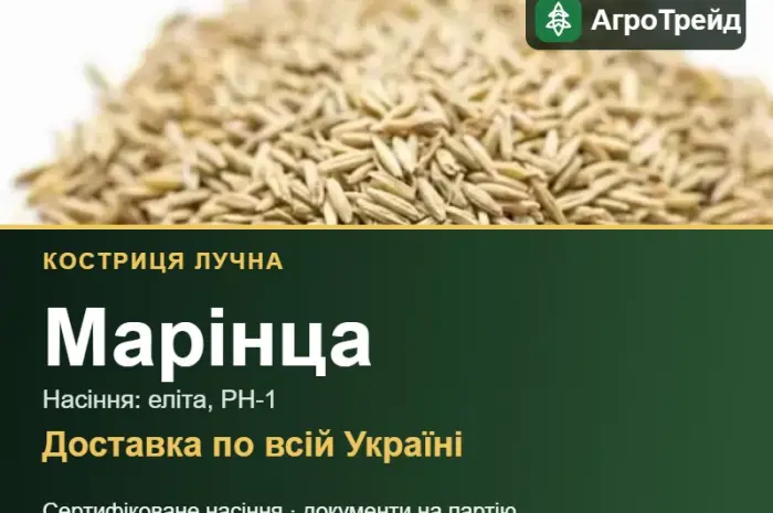 Костриця лучна Марінца — насіння- фото № 1